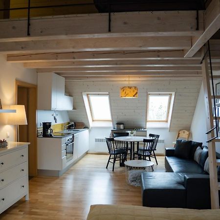 Stylovy Apartman C. 8 U Venuse, Pavlov U Mikulova 外观 照片