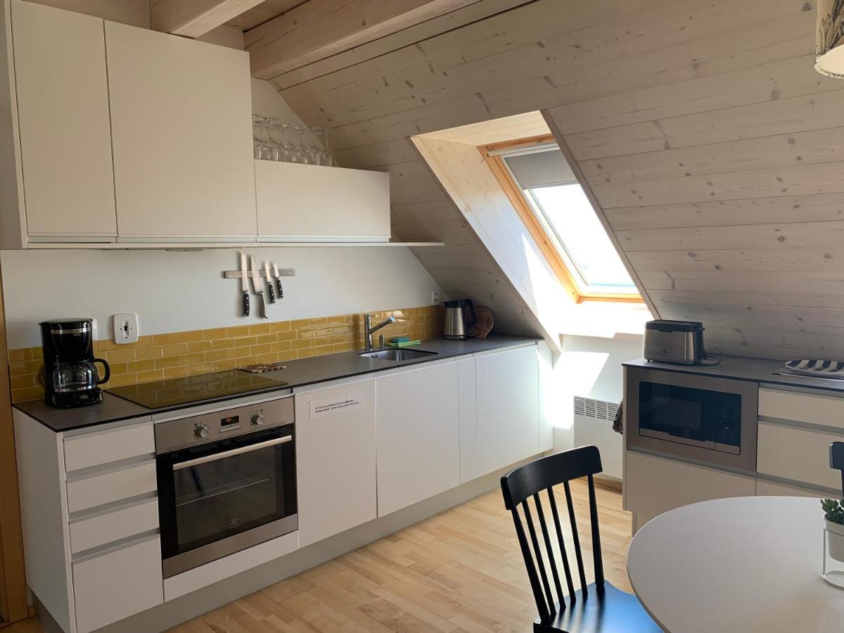 Stylovy Apartman C. 8 U Venuse, Pavlov U Mikulova 外观 照片