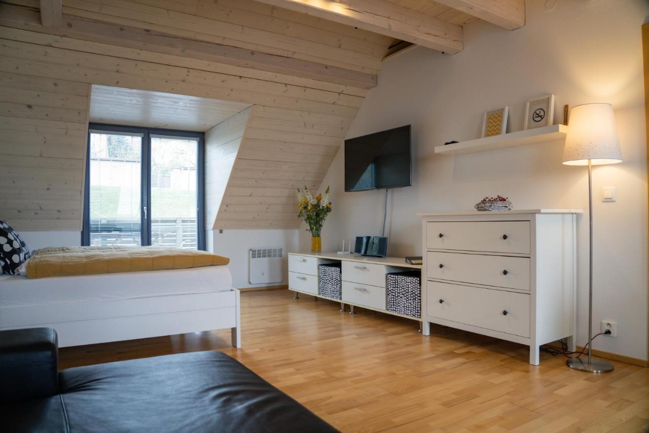 Stylovy Apartman C. 8 U Venuse, Pavlov U Mikulova 外观 照片