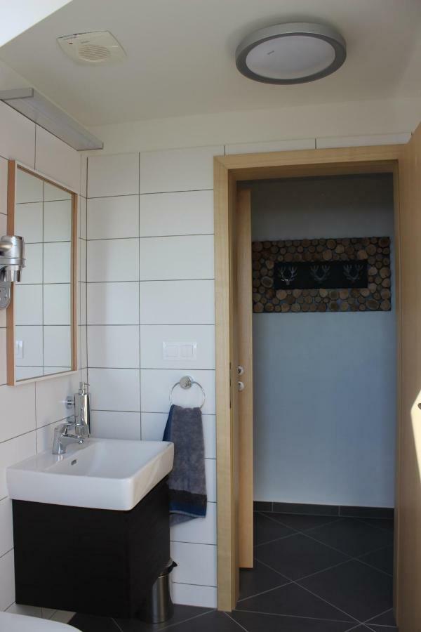 Stylovy Apartman C. 8 U Venuse, Pavlov U Mikulova 外观 照片